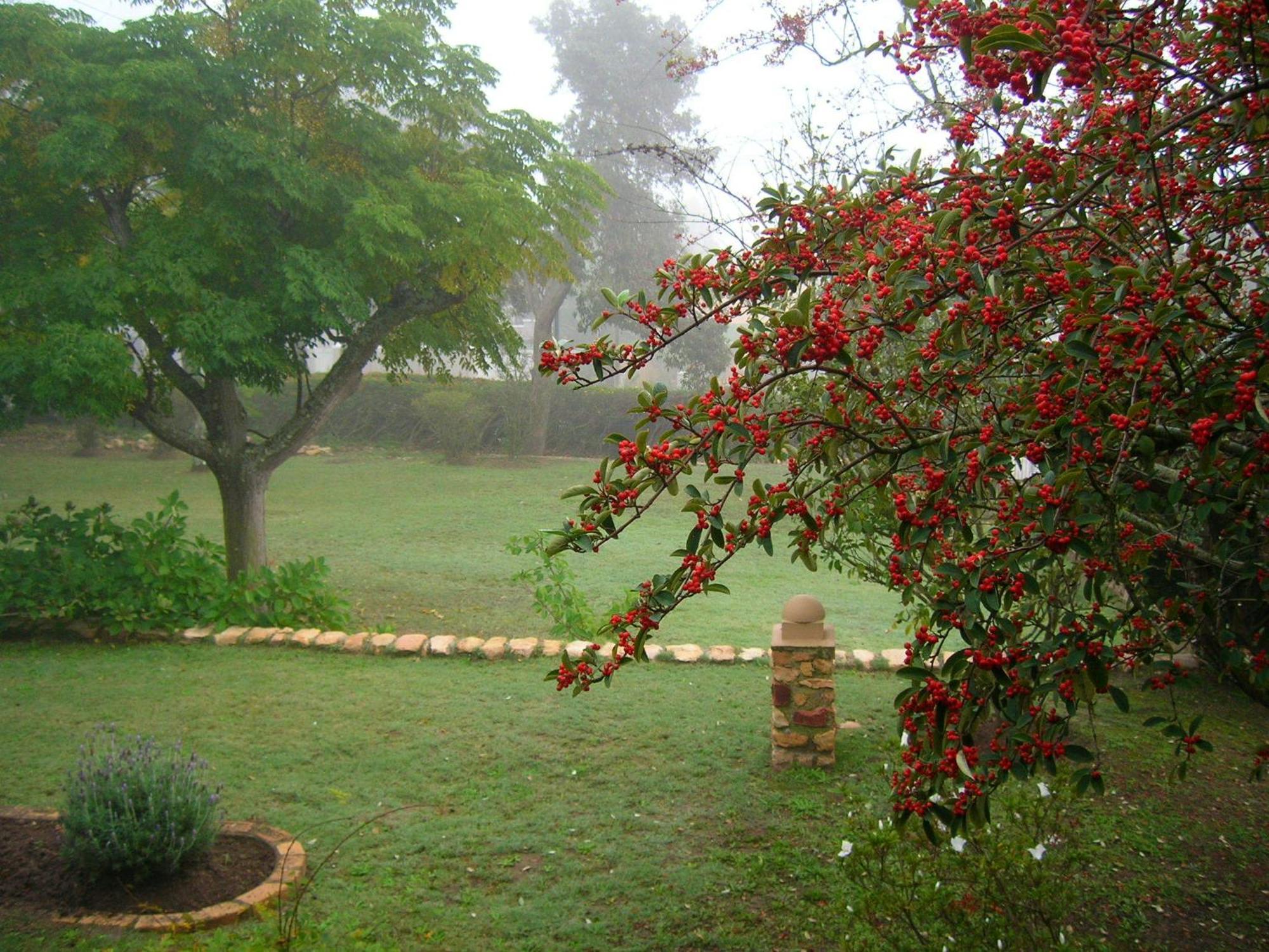 Dempsey'S Self-Catering Guest House Port Elizabeth Eksteriør billede