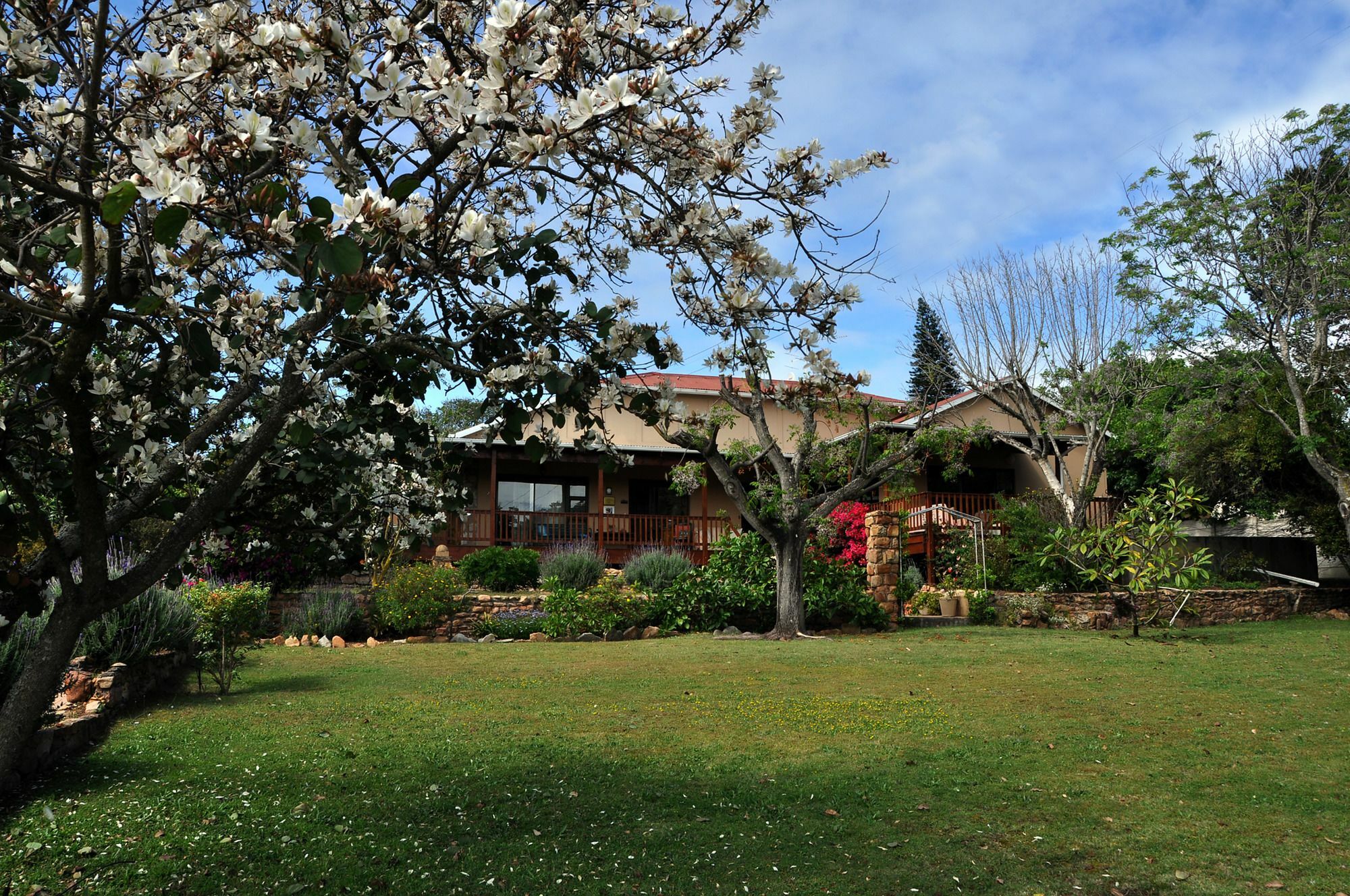 Dempsey'S Self-Catering Guest House Port Elizabeth Eksteriør billede